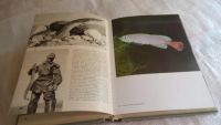 Лот: 8093581. Фото: 5. Иллюстрированная энциклопедия...