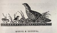Лот: 21172619. Фото: 19. Хакасские народные сказки: Поющий...