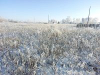 Лот: 10003472. Фото: 2. дачный участок. Продажа