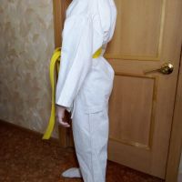 Лот: 21580065. Фото: 3. кимоно. Дети растут