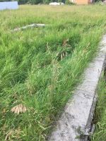 Лот: 11782827. Фото: 2. Земельный участок в Березовке... Продажа