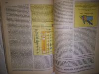 Лот: 24960680. Фото: 7. оз...(2092317) Соснин Д. А...