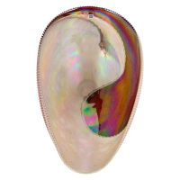 Лот: 25200708. Фото: 4. Блюдо Yalos Shell 44x23x19см... Красноярск