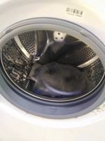 Лот: 16758715. Фото: 7. Стиральная машина lg f12m7hds3...