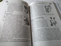 Лот: 17777526. Фото: 14. ок (01..01) Игорь Молодан "Автономное...