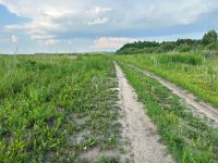 Лот: 8321130. Фото: 2. участок , Сосновоборск Сосновоборск... Продажа