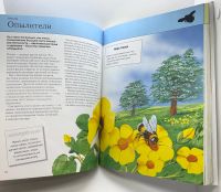 Лот: 25802642. Фото: 9. 📘 Тамара Грин. Насекомые. Полная...