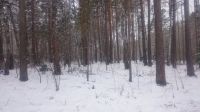 Лот: 12735199. Фото: 2. Участок молодежный 12 с.,продажа... Продажа
