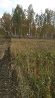 Лот: 6013358. Фото: 2. Продам участок. Продажа