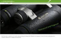 Лот: 4786849. Фото: 5. Vanguard Endeavor ED 10.5x45 Бинокль...