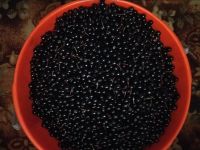 Лот: 14452549. Фото: 2. Черемуха 5л ведро. Продукты