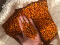 Лот: 12531702. Фото: 2. Облепиха дикая с/М. Продукты