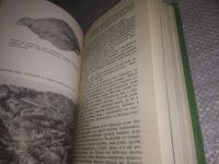 Лот: 24887086. Фото: 11. (3092354)Устиев Е. По ту сторону...