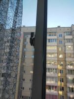 Лот: 21785199. Фото: 3. Окна. Строительство и ремонт