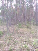 Лот: 3747747. Фото: 6. Продам или обменяю земельный участок...