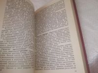 Лот: 11735451. Фото: 11. Цветы в комнате и на балконе...