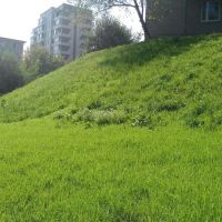 Лот: 11047933. Фото: 3. Газон на любом участке - Гидропосев. Красноярск