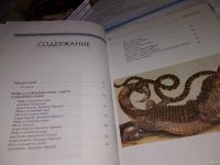 Лот: 15147265. Фото: 3. Африка, О. Дуан, серия "Мифы и... Литература, книги