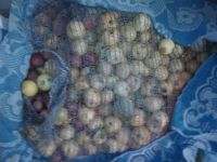 Лот: 6168798. Фото: 3. ранетки вкусные собрала с веток... Красноярск