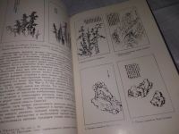 Лот: 20819312. Фото: 7. (109233) Сокровища искусства стран...