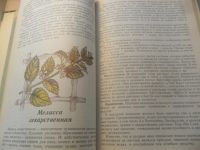 Лот: 9439174. Фото: 5. Книга "Аптекарский огород" В.Ф...