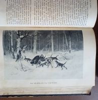 Лот: 25357384. Фото: 6. Охота. Ежемесячный иллюстрированный...