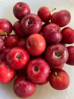 Лот: 19409051. Фото: 2. Ранетка Уральское наливное. Продукты