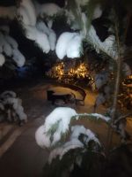 Лот: 21184033. Фото: 6. Отличный деревянный, домик в лесу...