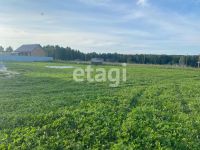 Лот: 25294347. Фото: 3. участок , ДНТ Посёлок Западный-Элита... Недвижимость