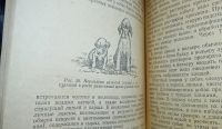 Лот: 24890281. Фото: 4. Охотничье собаководство.* 1957... Красноярск