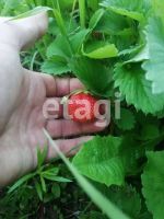 Лот: 25293204. Фото: 18. 4-комн. дом , Красноярск улица...