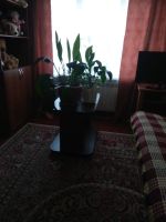 Лот: 15081760. Фото: 14. продам квартиру на первом этаже...