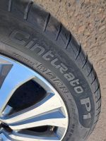 Лот: 20672887. Фото: 5. 185/60/15 Pirelli Cinturato Verde...