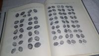 Лот: 9907855. Фото: 5. Русские монеты от Ивана Грозного...