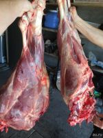 Лот: 9409538. Фото: 2. Мясо молодого теленка. Продукты