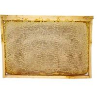 Лот: 11050403. Фото: 2. Мёд, разнотравье. Продукты