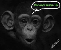 Лот: 5466567. Фото: 5. Продам или обменяю тел.Мегафон...