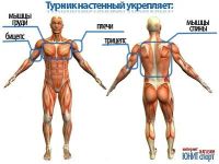 Лот: 2590462. Фото: 3. Турник настенный №3. Спортивные товары