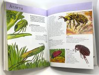 Лот: 25802642. Фото: 13. 📘 Тамара Грин. Насекомые. Полная...
