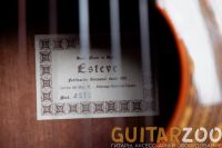 Лот: 16856159. Фото: 2. Esteve 4STE SP. Музыкальные инструменты