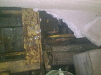 Лот: 5608534. Фото: 2. Стрела от погрузчика. Оборудование