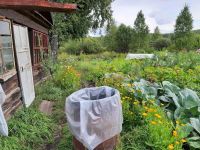 Лот: 15461124. Фото: 4. Дача г.Бородино СДТ Вьюнок, 9... Красноярск
