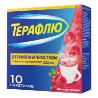 Лот: 23989966. Фото: 2. Терафлю лесные ягоды пор. для... Медицина