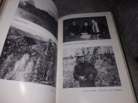 Лот: 16227082. Фото: 7. (050823)(1092375)(1092385) Виктор...