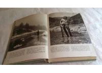 Лот: 8093581. Фото: 3. Иллюстрированная энциклопедия... Литература, книги