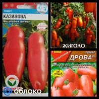 Лот: 5625604. Фото: 3. Рассада помидор Чудо Света и другие. Для дачи, дома, огорода, бани, парка