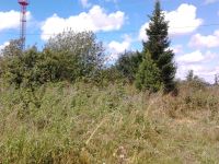 Лот: 4088561. Фото: 4. Участок п. Малиногорка 15соток. Красноярск