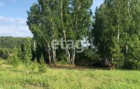 Лот: 25294568. Фото: 3. участок , деревня Мужичкино деревня... Недвижимость