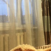 Лот: 6975598. Фото: 6. Продам долю студию 60 лет Октября...