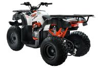 Лот: 25659224. Фото: 6. Квадроцикл KAYO AU150 CVT